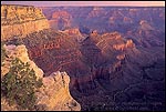 Picture: Morning light on the canyon, from the South Rim, Grand Canyon National Park, Arizona