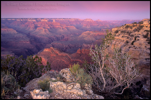 Photo: Evening light from Hopi Point, South Rim, Grand Canyon National Park, Arizona