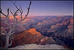 Picture: First light on the canyon from Hermits Rest, Grand Canyon National Park, Arizona
