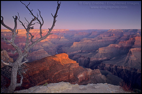 Photo: First light on the canyon from Hermits Rest, Grand Canyon National Park, Arizona