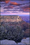 Picture: Dawn breaks over Maricopa Point on the South Rim, Grand Canyon National Park, Arizona