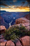 Photo: Sunset over the Colorado River from Toroweap, North Rim, Grand Canyon National Park, Arizona