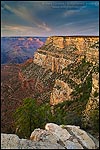 Picture: Afternoon light looking toward Yavapai Point, South Rim, Grand Canyon National Park, Arizona