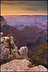 Picture: Sunset light over the Grand Canyon near Bright Angel Lodge, South Rim, Grand Canyon National Park, Arizona