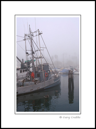 Fishing boat docked in fog, Santa Barbara Harbor, Californi