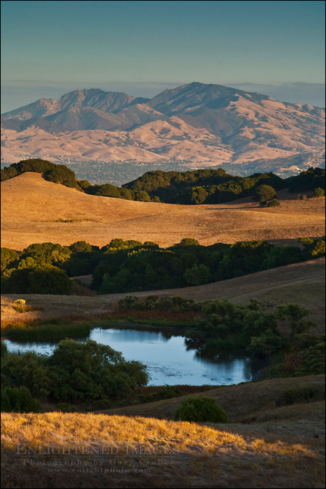 picture: Mount Diablo from 
Briones Regional Park