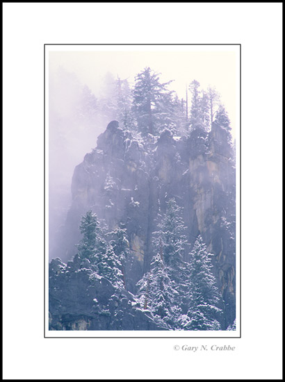 Picture: Snow on trees and rock cliffs on the rim of Yosemite Valley, Yosemite National Park, California