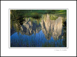 Photo: Cathedral Rocks reflected in seasonal pond, Yosemite Valley, Yosemite National Park, California