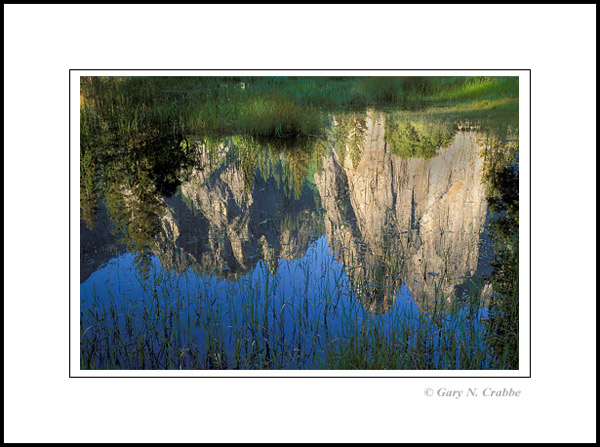 Photo: Cathedral Rocks reflected in seasonal pond, Yosemite Valley, Yosemite National Park, California