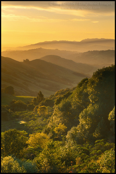 Picture: Sunrise over the Orinda Hills, Contra Costa County, California