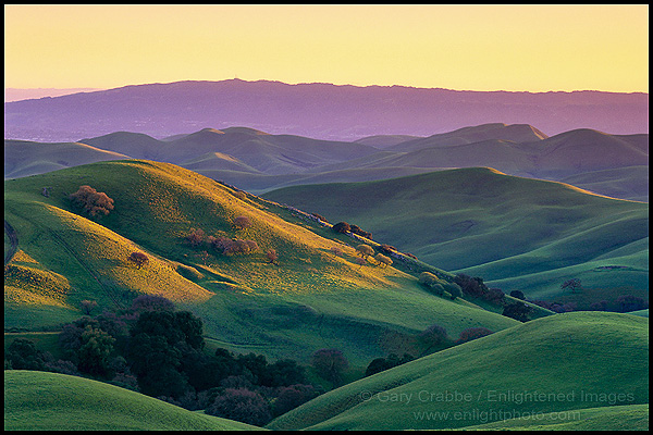 Picture: Rolling green hills of Spring at sunset, Tassajara Region, Contra Costa County, California