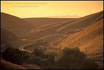 Picture: Railroad tracks through rolling hills at sunset, Altamont Pass, near Livermore, Alameda County, California