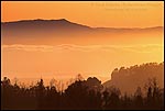 Photo: Golden sunset light over the San Francisco Bay from the Berkeley Hills, Alameda County, California