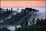 Photo:  Morning fog flowing from San Francisco Bay over the Berkeley Hills, Alameda County, California