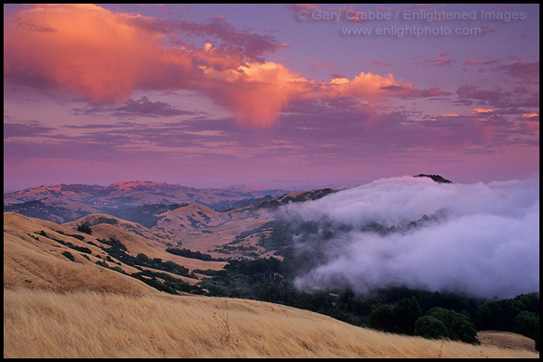 Picture: Fog rolling in over the East Bay hills at Sunset, near Orinda, California