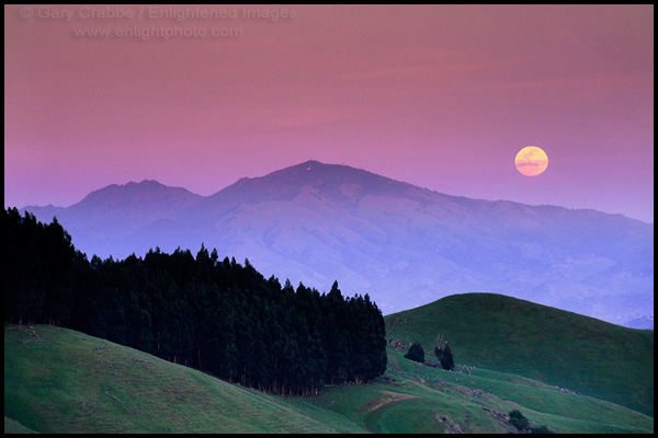 Picture: Full moon rising in evening over Mount Diablo, from the East Bay Hills near Orinda, California