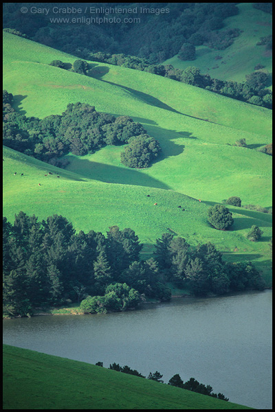 Picture: Green hills in spring above San Pablo Reservoir, near Orinda, California