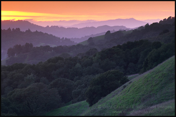 Picture: Green hills and oak trees at sunset, Lafayette Ridge, Lafatyette, California