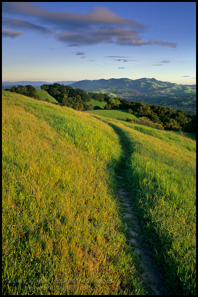 Picture: Trail through green hills in Spring, near the Lafayette Ridge Trail, Lafayette, California
