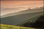Photo: Rows of green East Bay hills and ridge lines fading into the distance at sunset, Briones Regional Park, Contra Costa County, California