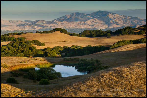 Picture: Afternoon light on golden hills below Mount Diablo, from Briones Regional Park, Contra Costa County, California