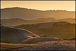 Picture: Golden hills and golden sunset light, Briones Regional Park, Contra Costa County, California