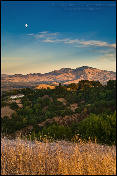 Picture: Moon rising over Mount Diablo and the East Bay Hills from Lafayette Ridge, Lafayette, California