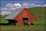Picture: Red Hay Barn and green field in Spring, Tassajara Region, Contra Costa County, California