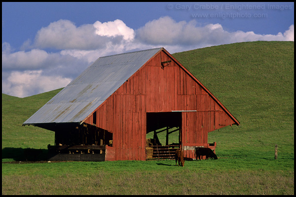 Picture: Red Hay Barn and green field in Spring, Tassajara Region, Contra Costa County, California