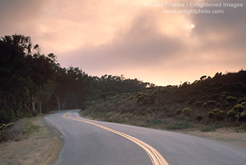 Sunset through coastal fog over twisting country road, Montana del Oro State Park, near Morro Bay, Central Coast, California; Stock Photo photography picture image photograph fine art decor print wall mural gallery