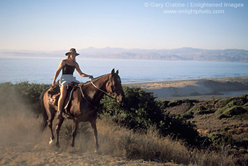 Female horesback rider riding horse, Montana del Oro State Park, near Los Osos, Central Coast, California; Stock Photo photography picture image photograph fine art decor print wall mural gallery