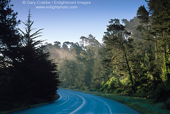 Coastal Highway 1 road winding through forest at Cambria, Central Coast, California; Stock Photo photography picture image photograph fine art decor print wall mural gallery