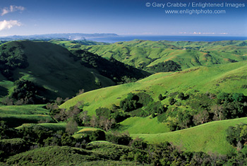Rolling green hills is spring looking out to the coast, near Cambria, Central Coast, California; Stock Photo photography picture image photograph fine art decor print wall mural gallery