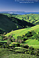 Rolling green hills in spring overlooking the Pacific Ocean on a clear day, near Cambria, Central Coast, California
