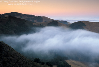 Coastal fog at sunrise in the hills near Cambria, Central Coast, California; Stock Photo photography picture image photograph fine art decor print wall mural gallery