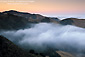 Coastal fog at sunrise in the hills near Cambria, Central Coast, California