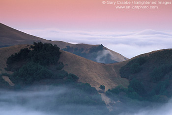 Coastal fog and hills at dawn, near Cambria, Central Coast, California; Stock Photo photography picture image photograph fine art decor print wall mural gallery