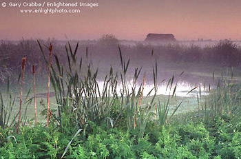 Morning light over the Arcata Marsh and farmlands, Aracta, Humboldt County, California