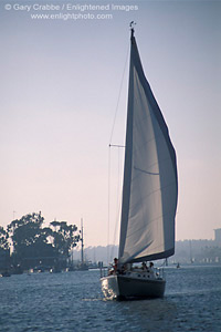 Sailboat sailing in harbor channel, Newport Beach, Orange County, California