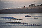 Crew boat skulls racing in calm sea water harbor channel, Newport Beach, Orange County, California