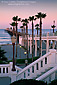 Palm Trees next to the Oceanside Pier at dawn, Oceanside, San Diego County Coast, California