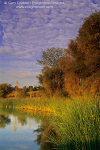 Sunset light over lake at the Vin Di Rosa Preserve, Los Carneros Region, Napa County, California