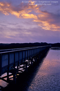 Boardwalk path at sunset, Oso Flaco Lake, Guadalupe - Nipomo Dunes San Luis Obispo County, CALIFORNIA