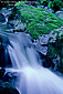 Waterfall cascade, Sugarloaf Ridge State Park, Sonoma County, California