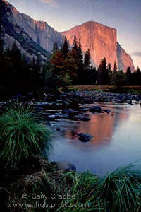 Alpenglow on El Capitan at sunset and reflection in the Merced River, Yosemite Valley, Yosemite National Park, California