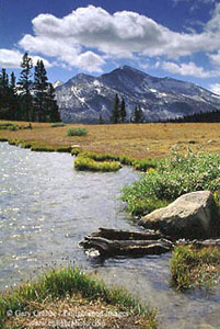 Alpine meadow and tarn near Tioga Pass, Yosemite National Park, California