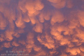 Mammatus Clouds at Sunset