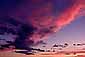 Sunset light turns altocumulus clouds bright red, California
