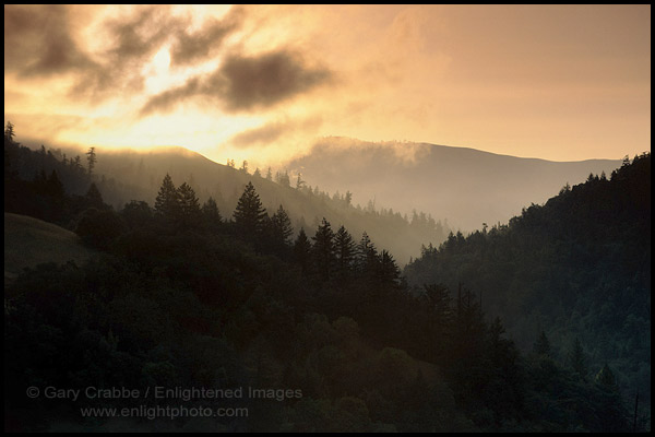 Photo: Sunrise over forest near Garberville, Humboldt County, California