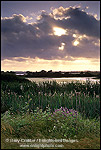 Photo: Sunset at the Arcata Marsh, Arcata, Humboldt County, CALIFORNIA